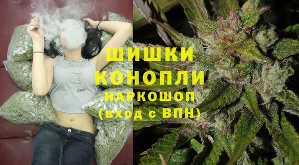 гидра Лиски