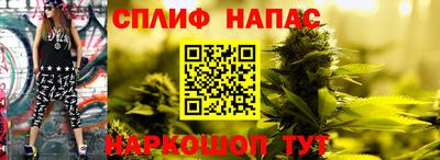тгк Белореченск