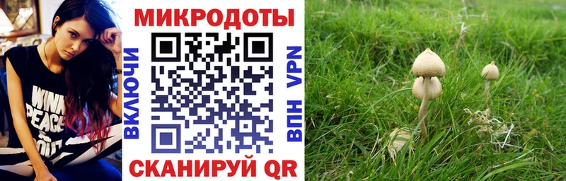 где купить наркоту Южно-Сахалинск Галлюциногенные грибы прущие грибы