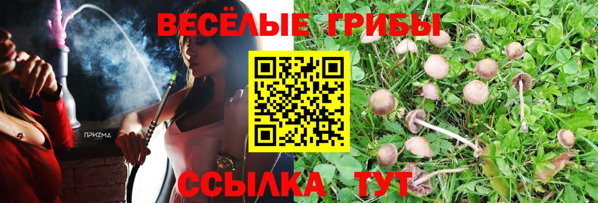 Псилоцибиновые грибы ЛСД  Вход с VPN  Южно-Сахалинск 
